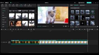 How to Make Pets Video 😂 | How to Make a Cat Video 🐱| Shakira