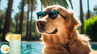 EXTREMELY Soothing Dog Therapy Music - Relax Your Dogs with Dog Music