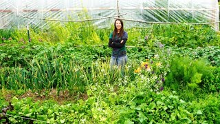 July Vegetable Garden Tour | Growing Food In Alaska
