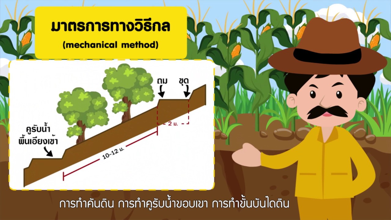 การชะล้างพังทลายของดิน  Update  การชะล้างพังทลายของดิน