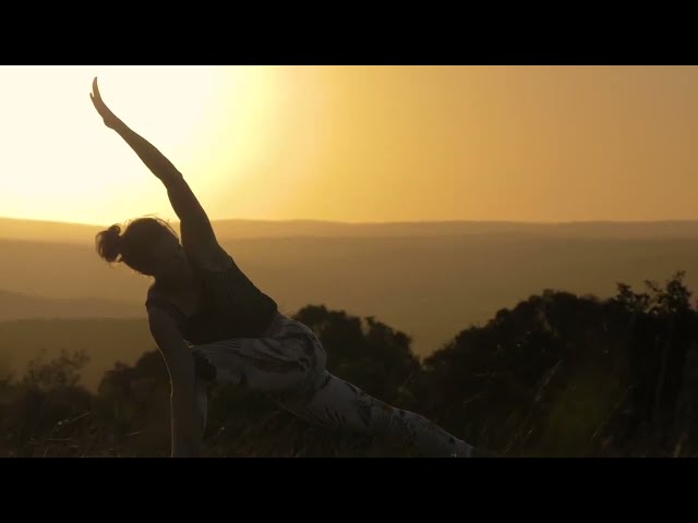 Video over de Shamwari Yoga Experience