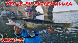 Un DERNIER jour avec des POISSONS PUISSANTS  Pêche en Extremadura partie 3/3