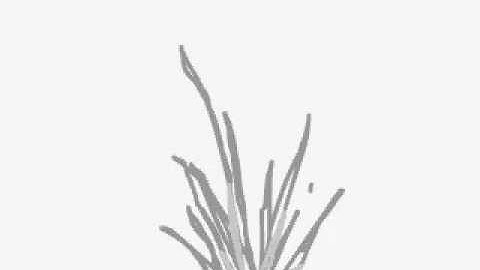 particle effects for macrromedia flash