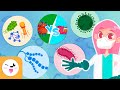 Los microorganismos - Recopilación - Los virus, las bacterias y los hongos - Explicación para niños