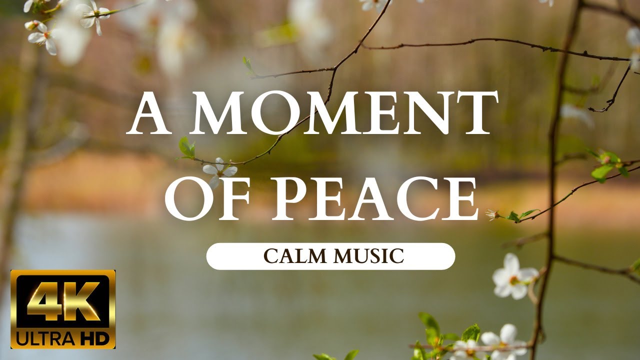 Look what a beautiful spring has come. Relax with calm music. - YouTube