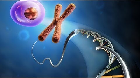 Introduction to Molecular Sciences - 3 Minutes Microlearning