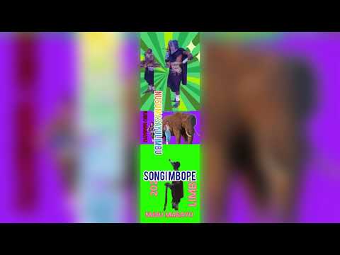 NUSU MASAYU LIMBU SONGI KILImu