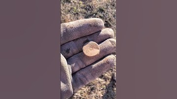 WHAT DID THE EQUINOX FIND?? 👍👍 #viral #shorts #trending #youtube #equinox800