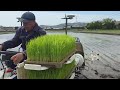 田植えが終わりました