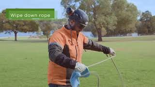 Giant pine scale  - Hygiene tips for tree workers
