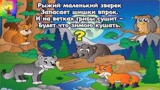 Загадки про животных Мультик про животных Загадки про животных Мультик про животных