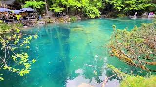 BLUE LAKE  💙 Blausee SWITZERLAND 🇨🇭  EXCELLENT DAY TRIP FOR FAMILY #travel #switerland