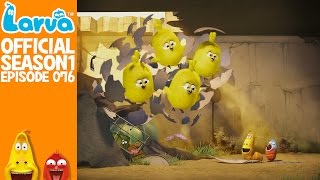 Official Chick 2 - Larva Season 1 Episode 76