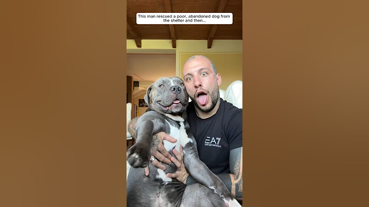 Este hombre rescató a un pobre perro abandonado del refugio y luego...