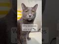 ADHD Mom Edition: Film Someone Who Annoys You 👀