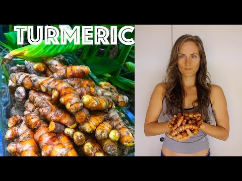 Optimizing Turmeric Absorption