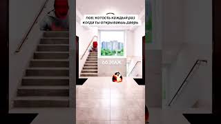 котость #rec #меллстрой #kick