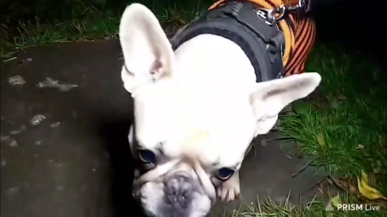 St.Peter’s old graveyard, Llanbedr DC. Halloween special. YouTube