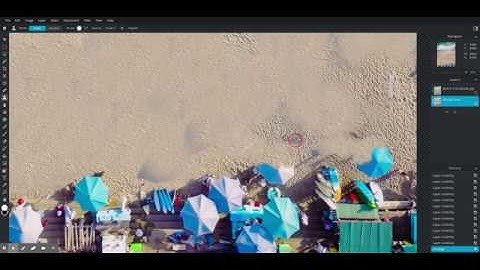 PIXLR E: Clone Stamp Removing People From a Beech