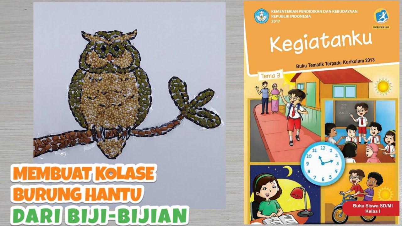 Cara Membuat Kolase Burung Hantu Dari Biji-bijian || Tugas Kelas 1 Tema 3 - YouTube