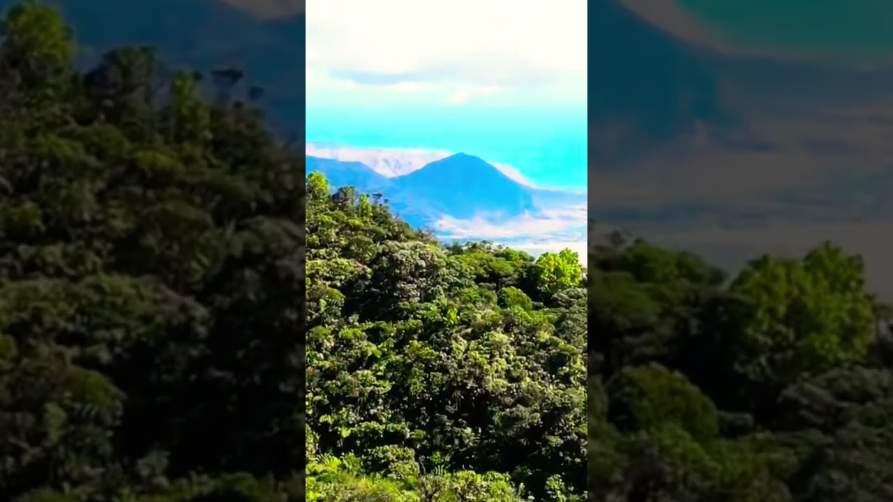 Hiking up Mt. Ka’ala - Oahu, Hawaii 