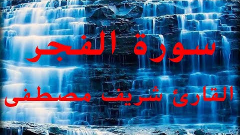 سورة الفجر القارئ شريف مصطفى تلاوة لا توصف