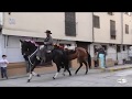 Vídeo: Entrada ecuestre en la plaza - Romería de La Cruz 2018 - Guadalupe