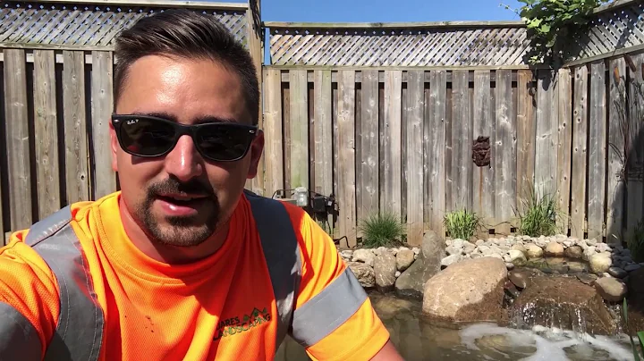 Can my fish survive in the pond over winter?