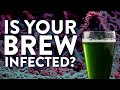 How To Identify MOLD Other WEIRD Stuff In Your Mead Beer Wine Or Cider How To Identify MOLD Other WEIRD Stuff In Your Mead Beer Wine Or Cider