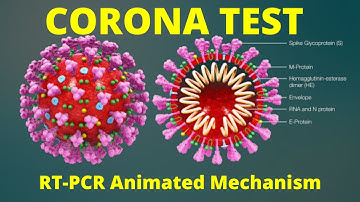 Updated Coronavirus real time RT PCR Test Simplified Mechanism