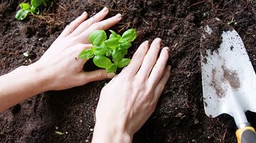 TraCert Secure Document Digitalization Pitch ILA 2022