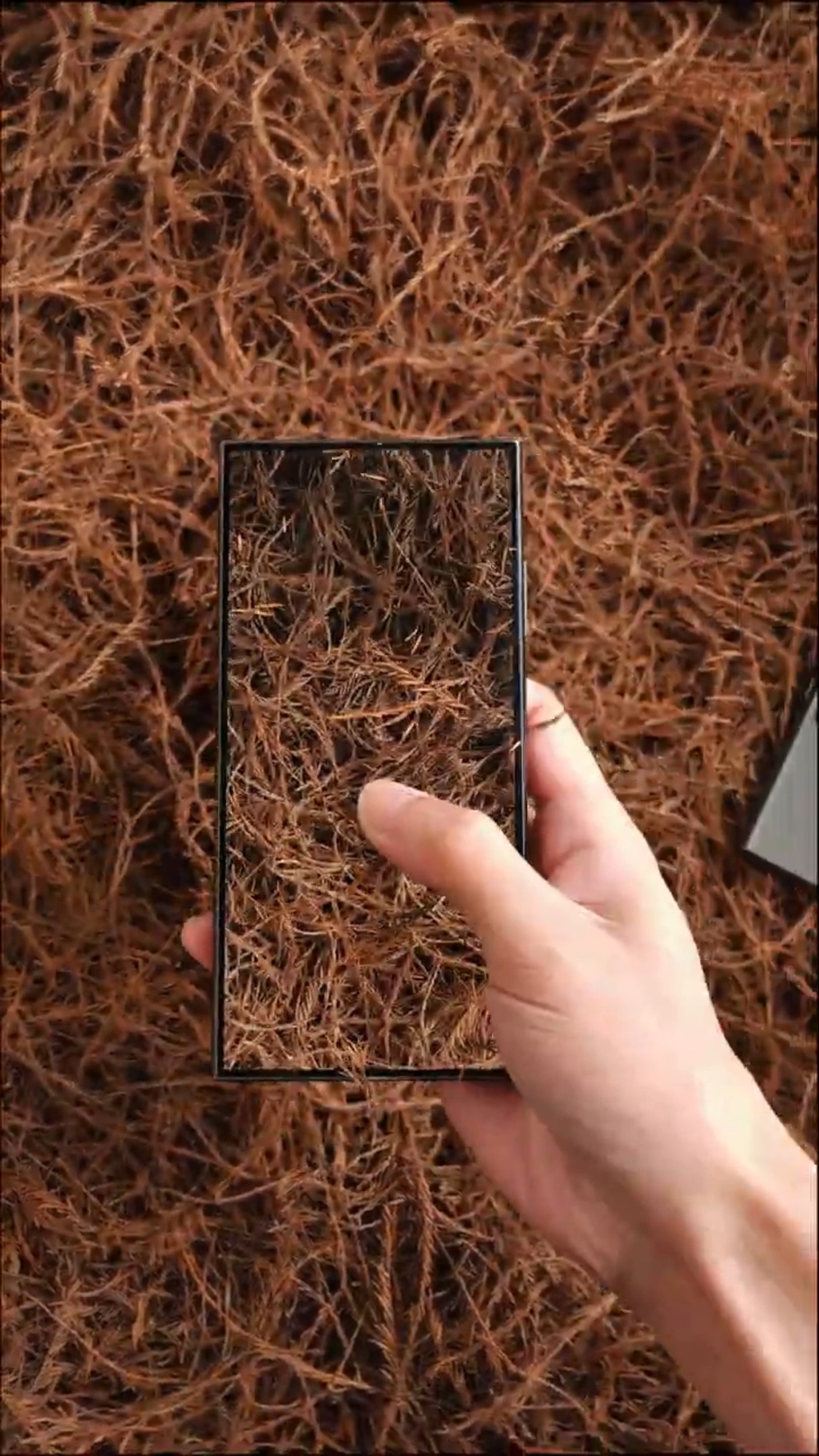 The screen is perfect, the screen performance of Samsung S24Ultra will shock you! #Samsung #Mobile