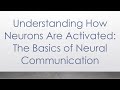 Understanding how neurons are activated the basics of neural communication