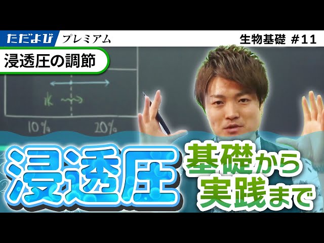 Regulation of Osmotic Pressure [Basic Biology] #11 - YouTube
