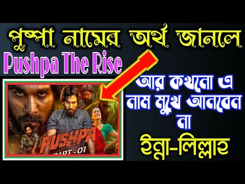 Pushpa Teh Rise || Pushpa Bangla translation || পুষ্পা বাংলা অর্থ || অর্থ জানলে অবাক হবেন || Pushpa