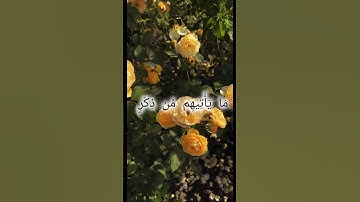 سورة الأنبياء بصوت الشيخ المنشاوي
