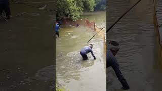 aito saidein amon        #fish #fishing