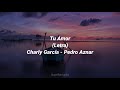 Tu Amor - Charly García, Pedro Aznar