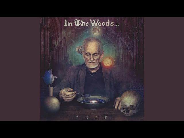 In The Woods... - Devil's At The Door