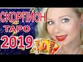 СКОРПИОН ТАРО ПРОГНОЗ на 2019 год от Olga Stella