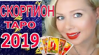 СКОРПИОН ТАРО ПРОГНОЗ на 2019 год от Olga Stella СКОРПИОН ТАРО ПРОГНОЗ на 2019 год от Olga Stella
