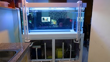 วิธีทำให้ตู้ปลาน้ำใสด้วยระบบอัตโนมัติทั้งระบบชุดเต็มสกิมเมอร์ลักน้ำSuperFull(นายตัวเองปลาสวยงามEP23)