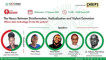 The Nexus Between Disinformation, Radicalization and Violent Extremism