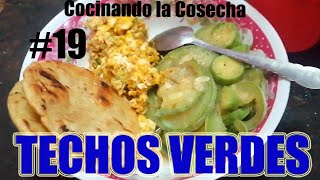 Cocinando la Cosecha Sabroso Platillo de pipían y flor - Techos Verdes sobre lámina