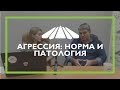 39. Кросс-ТВ. Агрессия: норма и патология