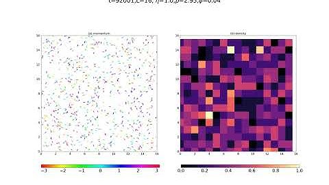 VMMD- Disordered phase
