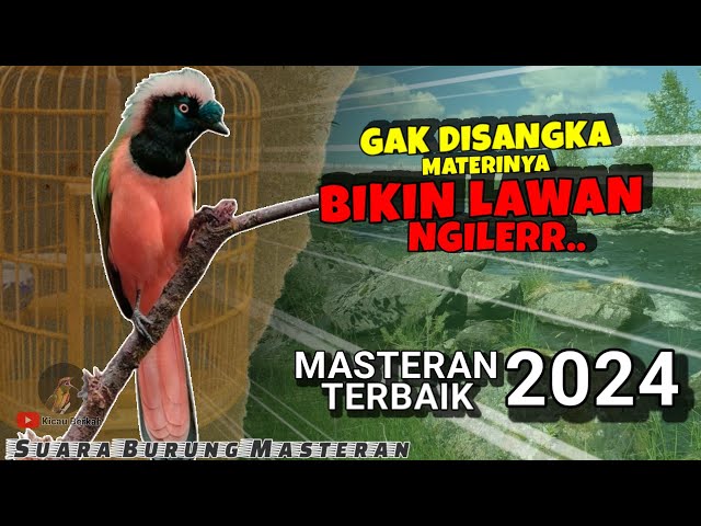 ISIAN BURUNG MASTERAN TERBAIK | Bikin Lawan Ngiler || FULL ISIAN TEMBAKAN KASAR DAN RAPAT class=