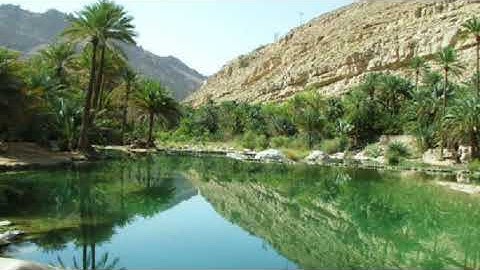 (وله ما سكن في الليل والنهار وهو السميع العليم ) تلاوة من سورة الأنعام للقارئ احمد الشافعي