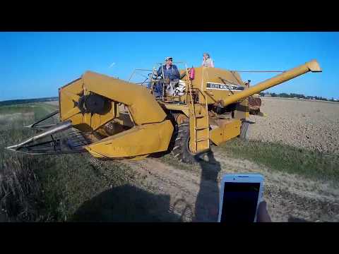 Уборка полевых опытов || ОВЕС, ЯЧМЕНЬ, ГОРОХ, ЯРОВАЯ МЯГКАЯ И ТВЕРДАЯ ПШЕНИЦЫ, ГОРОХ Уборка полевых опытов || ОВЕС, ЯЧМЕНЬ, ГОРОХ, ЯРОВАЯ МЯГКАЯ И ТВЕРДАЯ ПШЕНИЦЫ, ГОРОХ