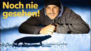 Noch nie gesehen! Spannende Entdeckung bei den Salamandern & Bildbearbeitung